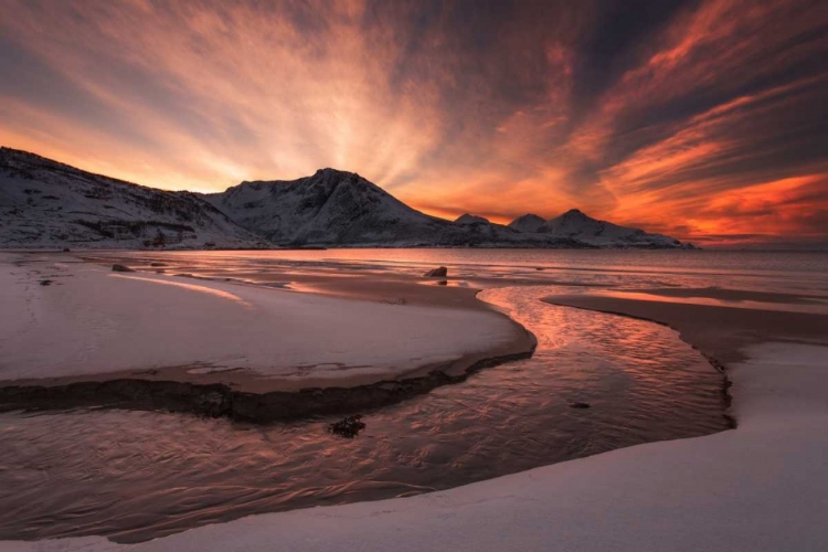 Picture of GOLDEN SUNSET