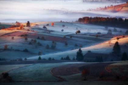 Picture of MIST