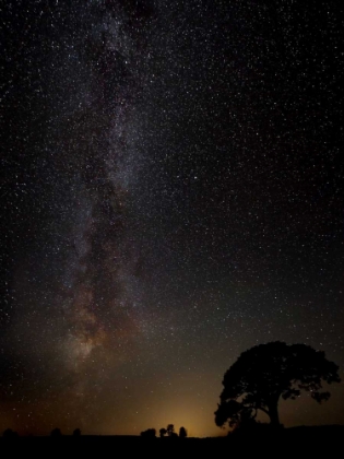 Picture of MILKYWAY