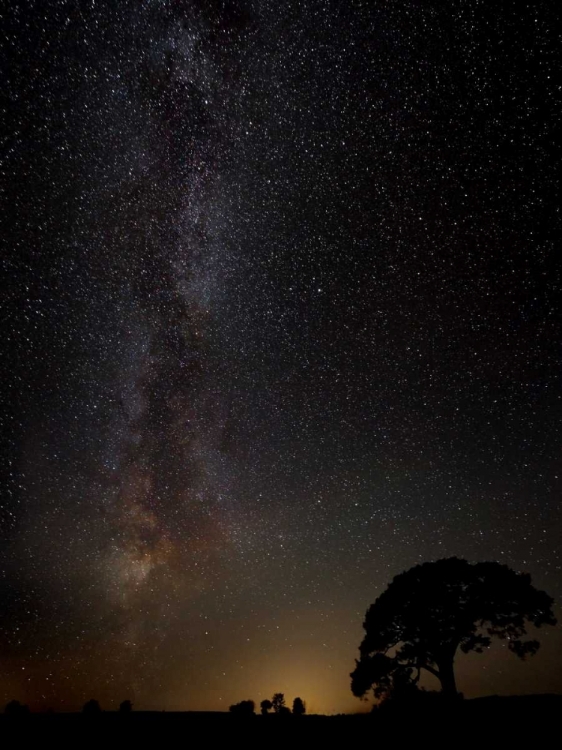 Picture of MILKYWAY