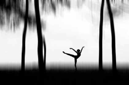Picture of DANCING