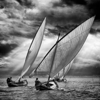 Picture of SAILBOATS AND LIGHT