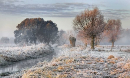 Picture of WARMTH - COLD