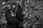 Picture of KWITONDA SILVERBACK