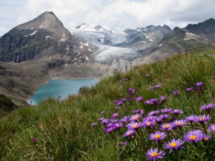 Picture of CORNO GRIES, SWITZERLAND