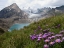 Picture of CORNO GRIES, SWITZERLAND