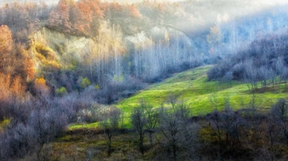 Picture of NOVEMBER COLORS