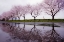 Picture of RAIN OF SPRING