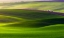 Picture of VERDANT LAND