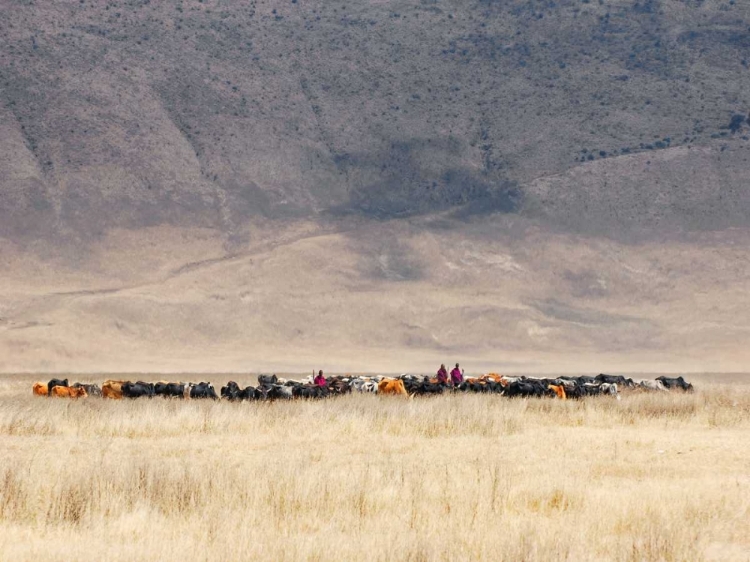 Picture of INCREDIBLE MAASAI