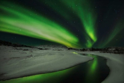 Picture of NIGHT POEM