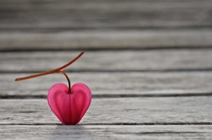 Picture of NATURAL HEART