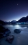 Picture of MOONLIGHT