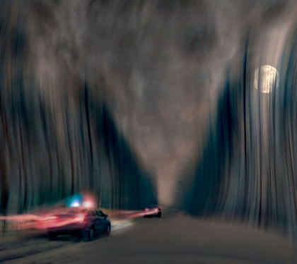 Picture of NIGHT PURSUIT