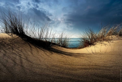 Picture of DUNES...........