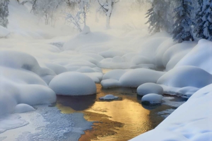 Picture of SIBERIA