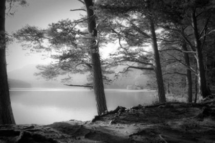 Picture of LOCH AN EILEIN