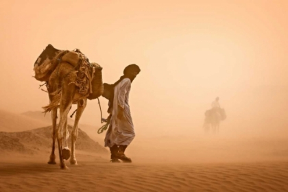 Picture of SAND STORM