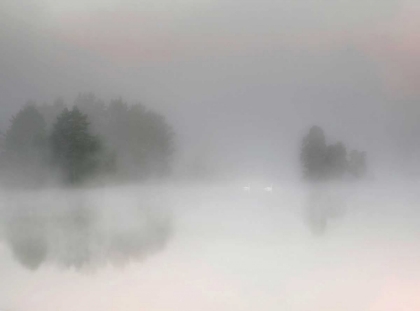 Picture of MISTY MORNING