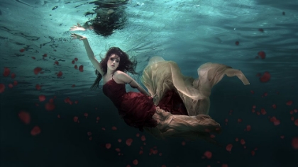 Picture of OCEAN OF ROSES