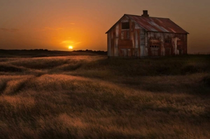 Picture of SEPTEMBER SUN