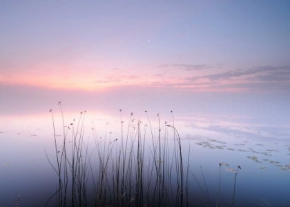Picture of LAKE