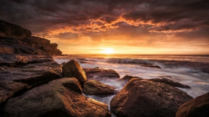 Picture of CAPE SOLANDER