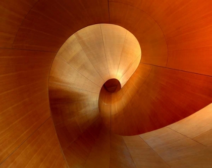 Picture of THE CURVE