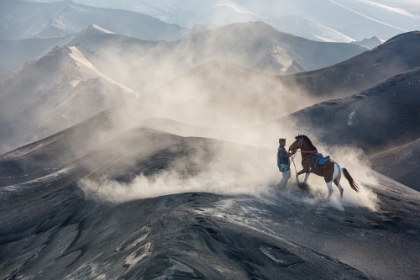 Picture of THE HORSEMAN