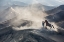 Picture of THE HORSEMAN