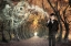 Picture of ALONE