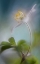 Picture of SPRINGTIME