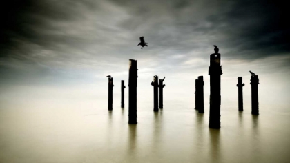 Picture of THE SENTINELS
