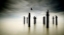 Picture of THE SENTINELS