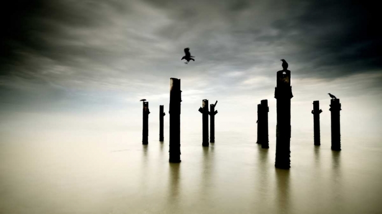 Picture of THE SENTINELS