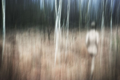 Picture of ESCAPE