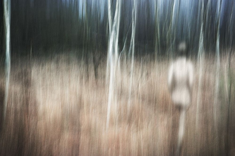 Picture of ESCAPE