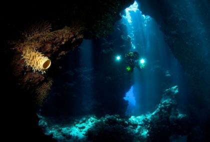 Picture of THE EXPLORER