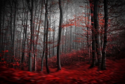 Picture of BLOODY RIVER