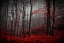 Picture of BLOODY RIVER