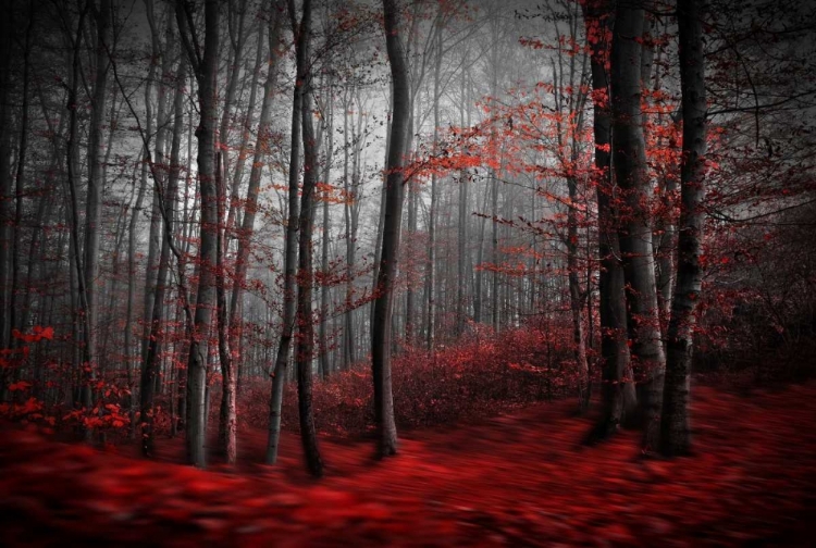 Picture of BLOODY RIVER