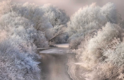 Picture of WINTER SONG