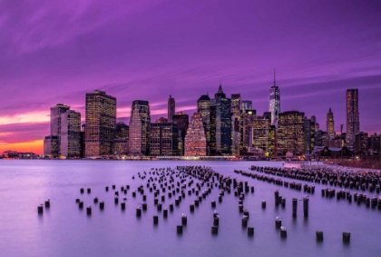 Picture of NEW YORK VIOLET SUNSET