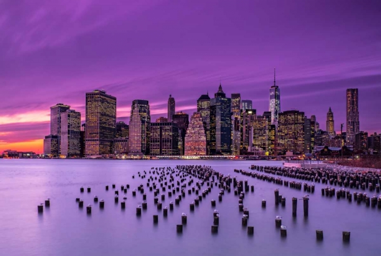 Picture of NEW YORK VIOLET SUNSET