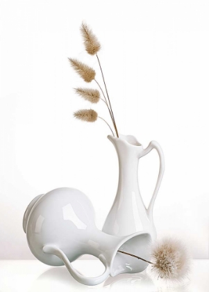 Picture of WHITE