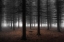 Picture of SILENCE