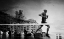 Picture of FINISH LINE