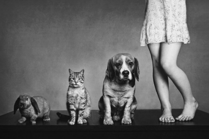 Picture of FAMILY PORTRAIT