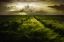 Picture of JOURNEY TO THE FIERCE STORM