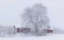 Picture of WINTER IDYLL